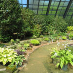 百合が原公園「札幌軟石と植物展」