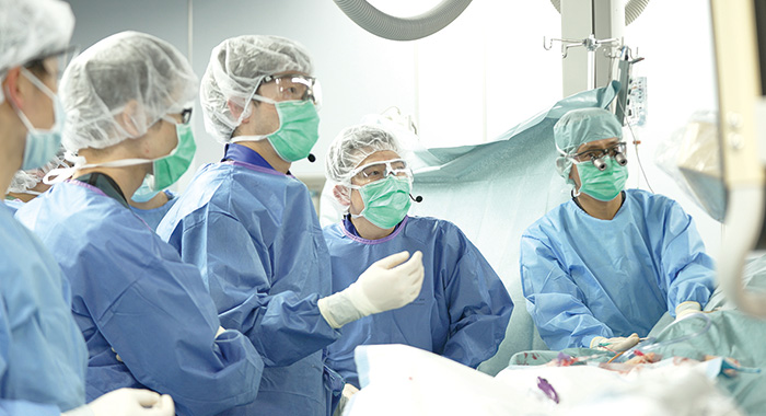 大動脈弁のカテーテル治療「ＴＡＶＩ」